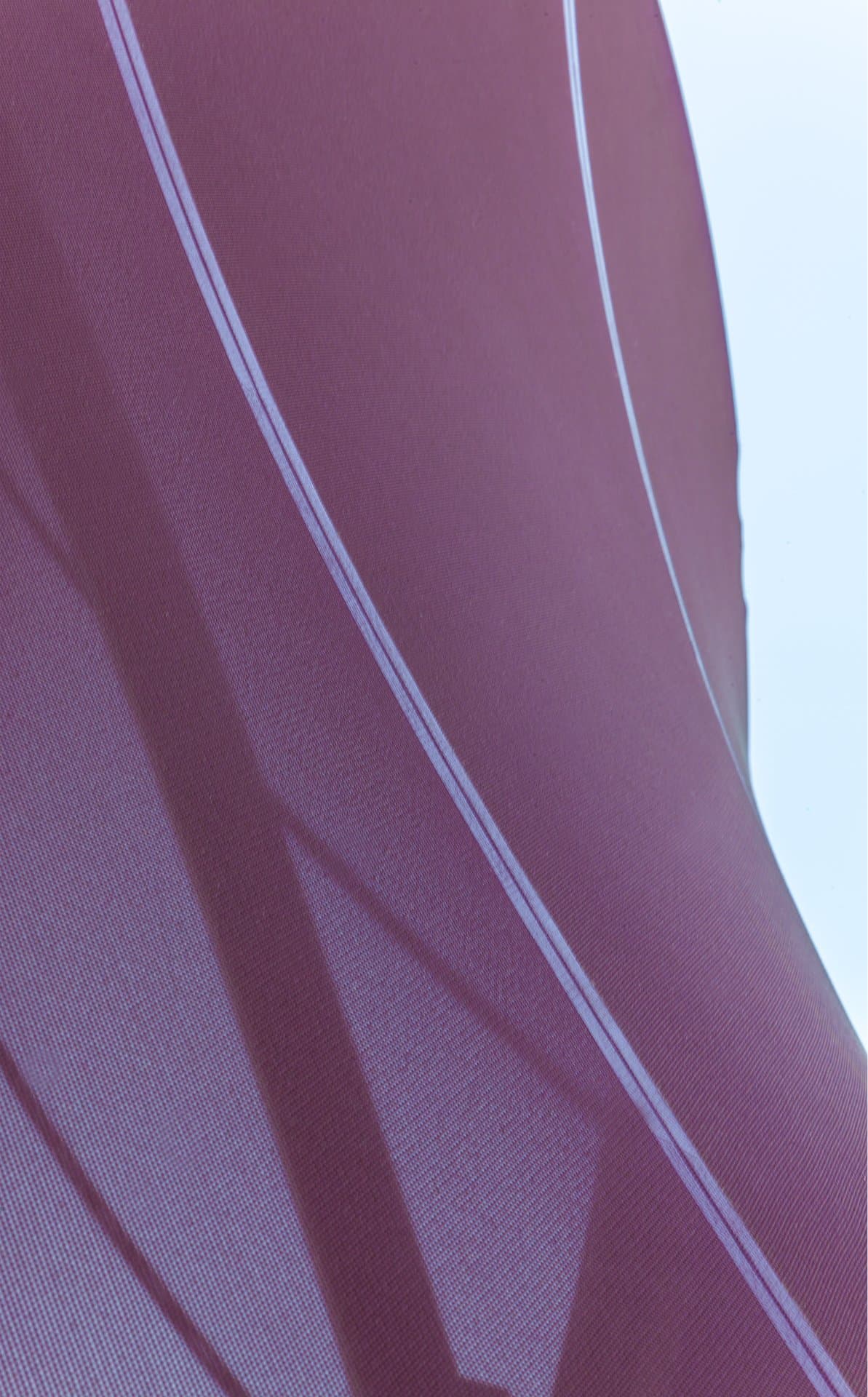 Vista del progetto Wine Pav